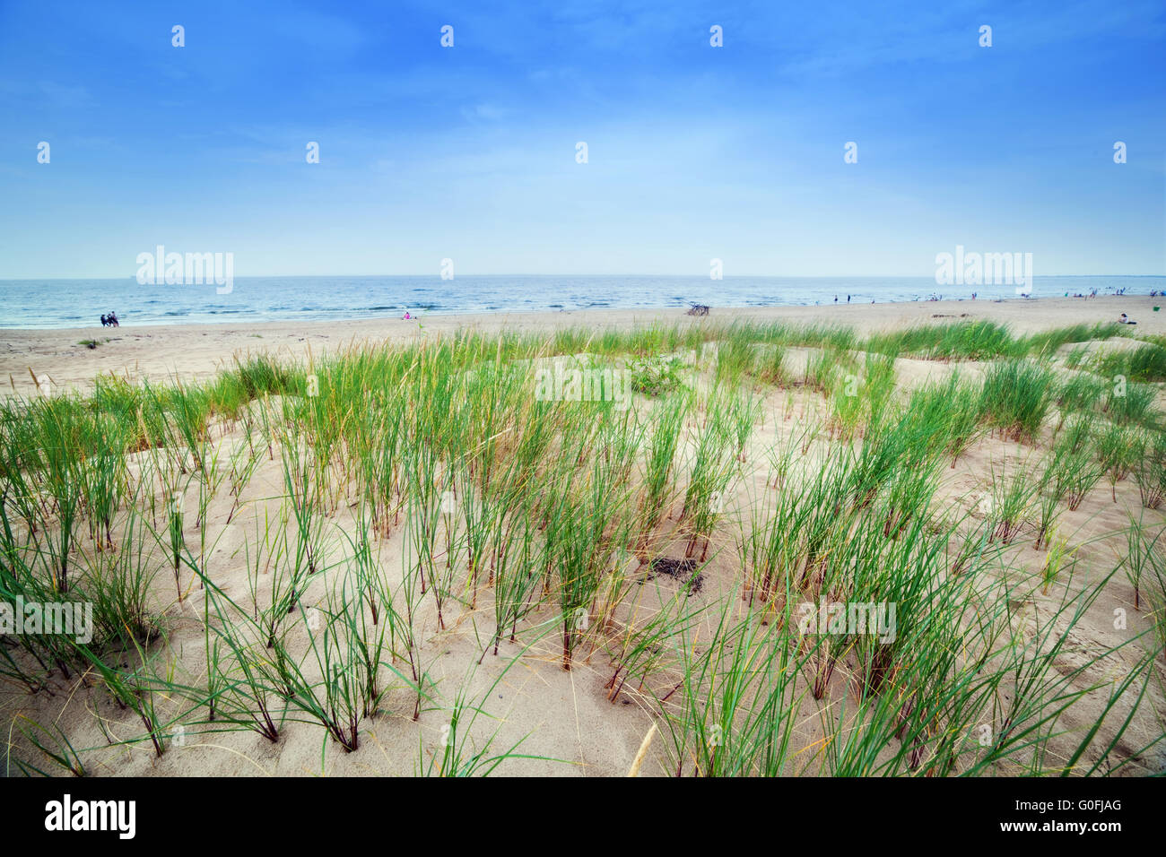 Calma spiaggia con dune e l'erba verde. Ocean in background Foto Stock