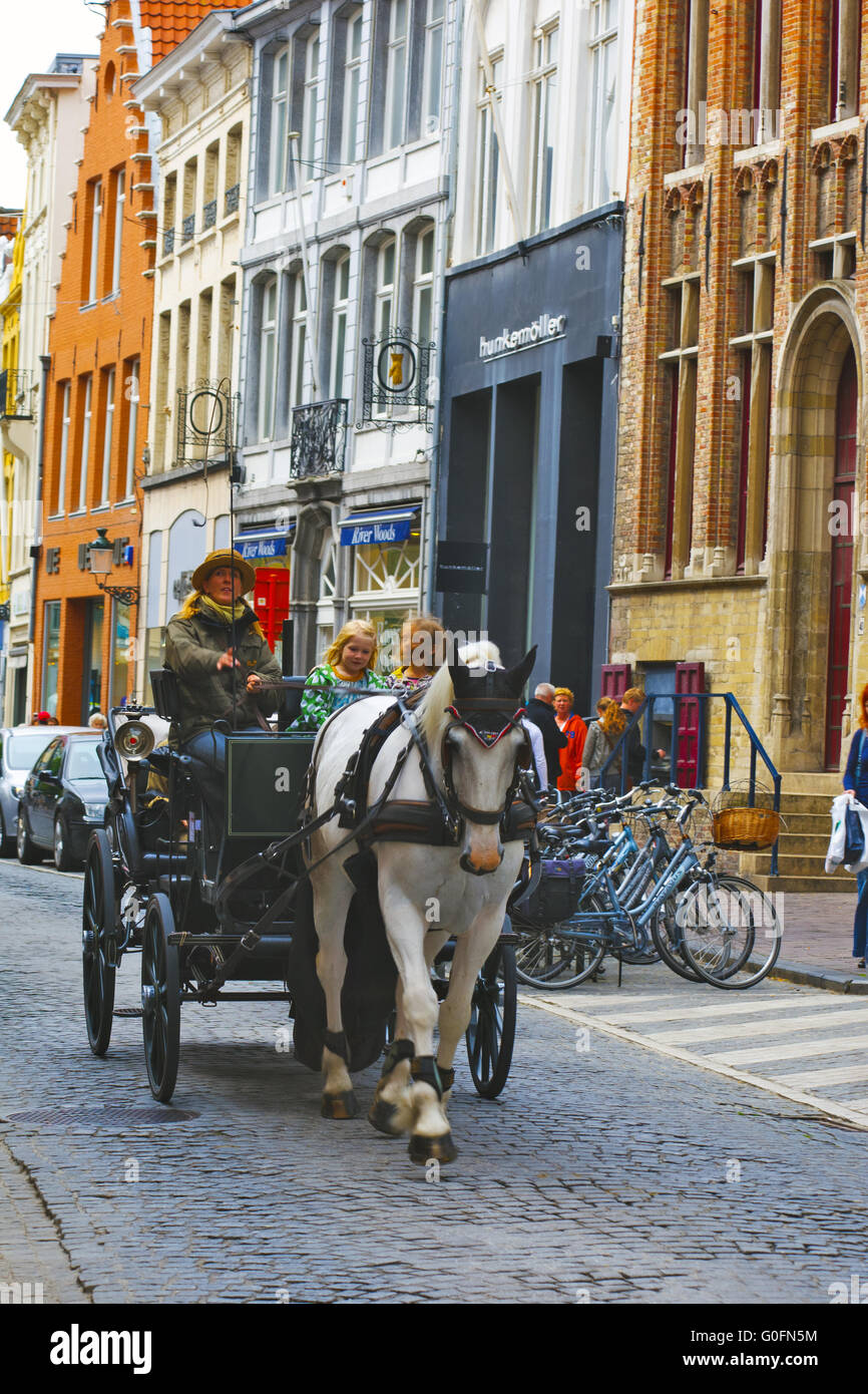 Bruges, Belgio - un carro trainato da cavalli Foto Stock