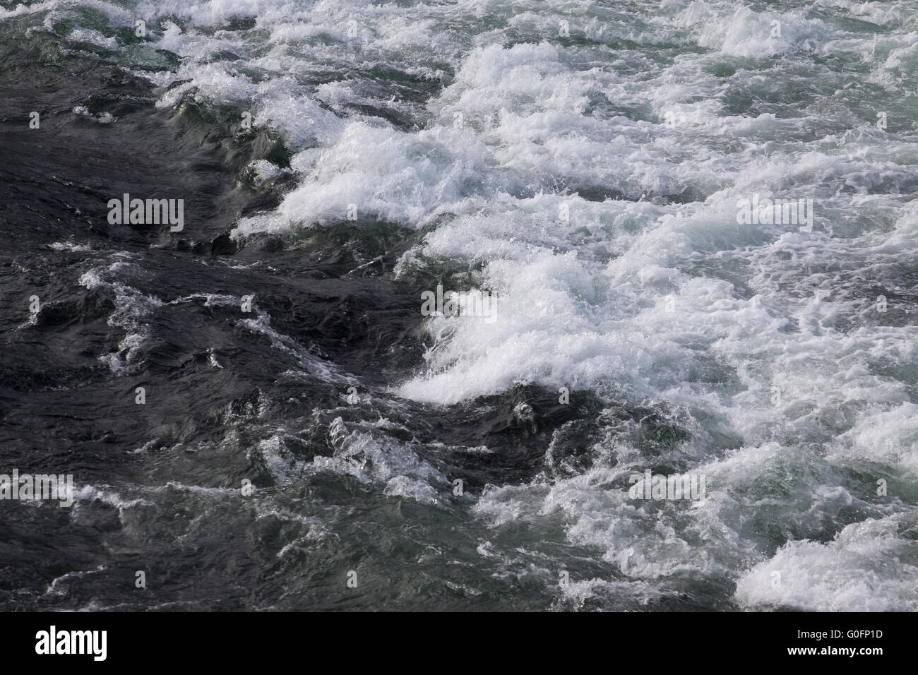 Cascate del Reno di Sciaffusa Foto Stock