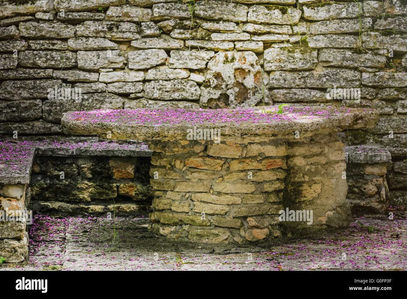 Tavolo in giardino Foto Stock