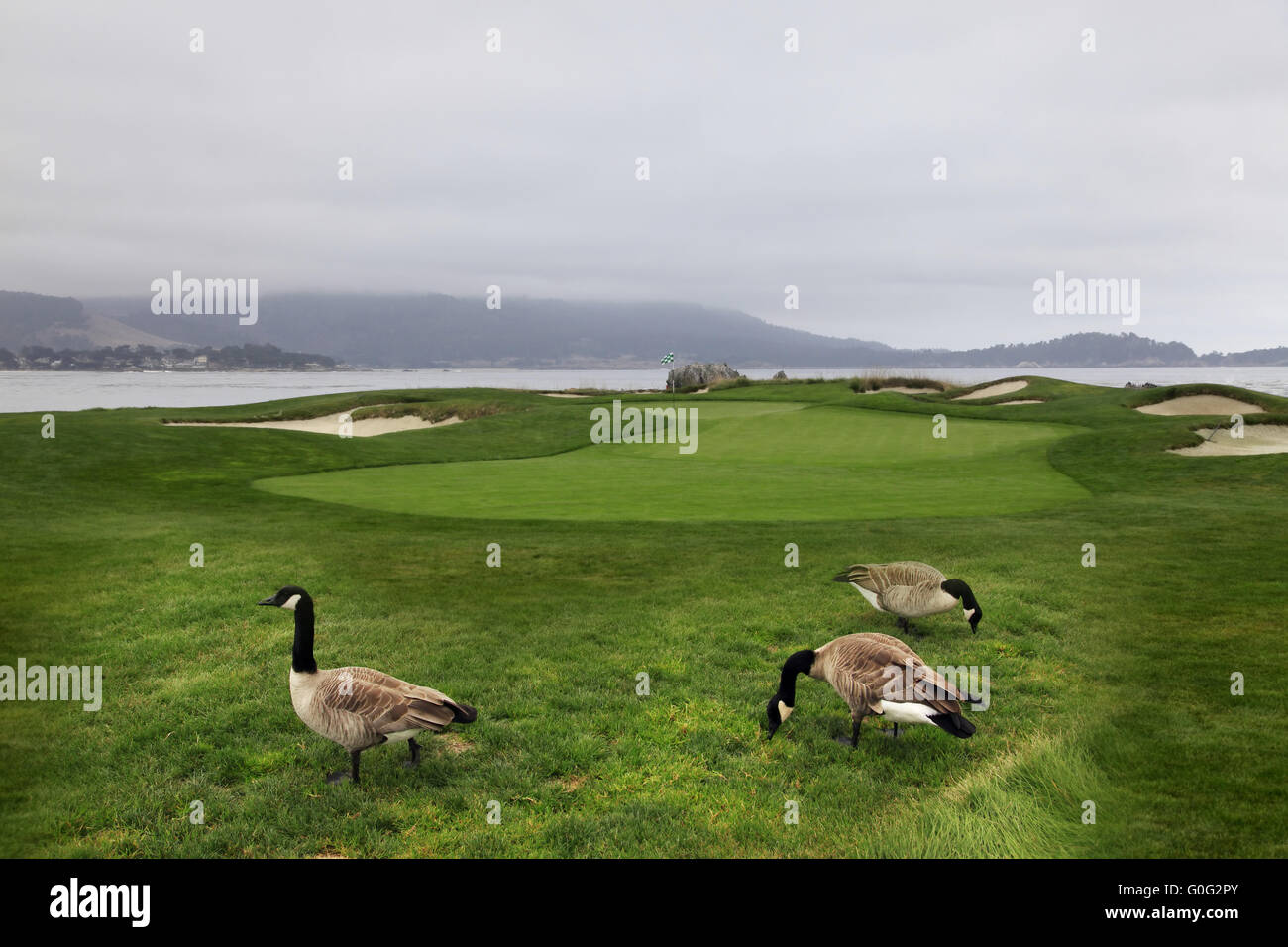 Golf di lusso Foto Stock