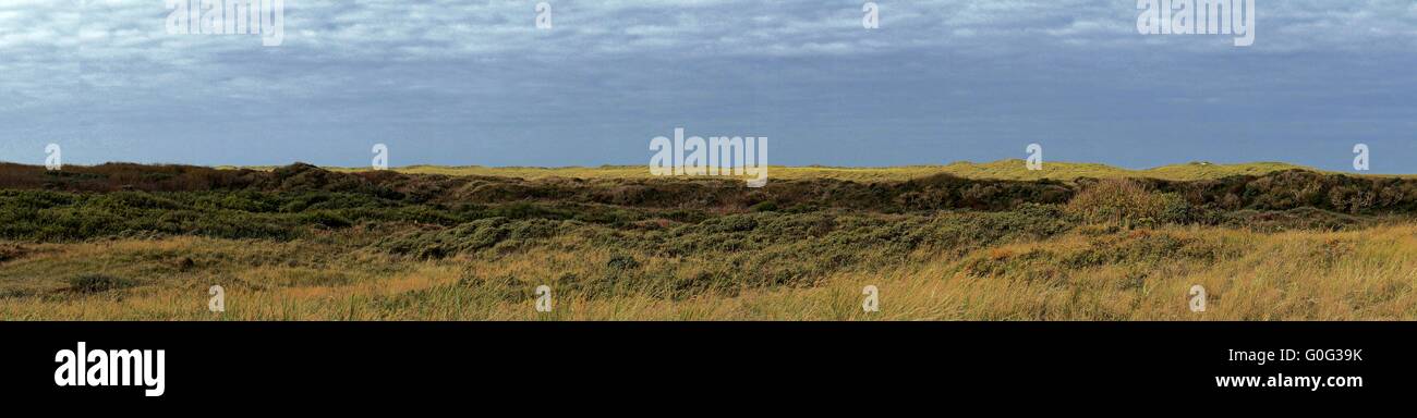 Vedute panoramiche sul Mare del Nord le dune Foto Stock