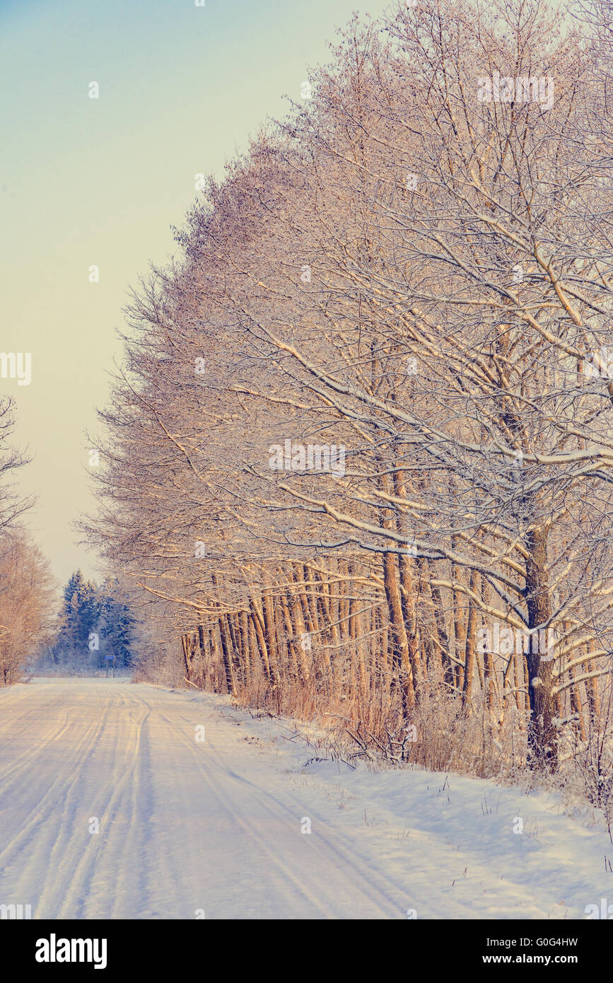 Vicolo di protezione su strada vetture inverno alberi coperti di neve Foto Stock