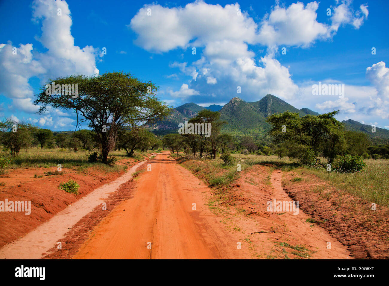 Terra rosso road, Bush di savana. Tsavo West, Kenya, Africa Foto Stock