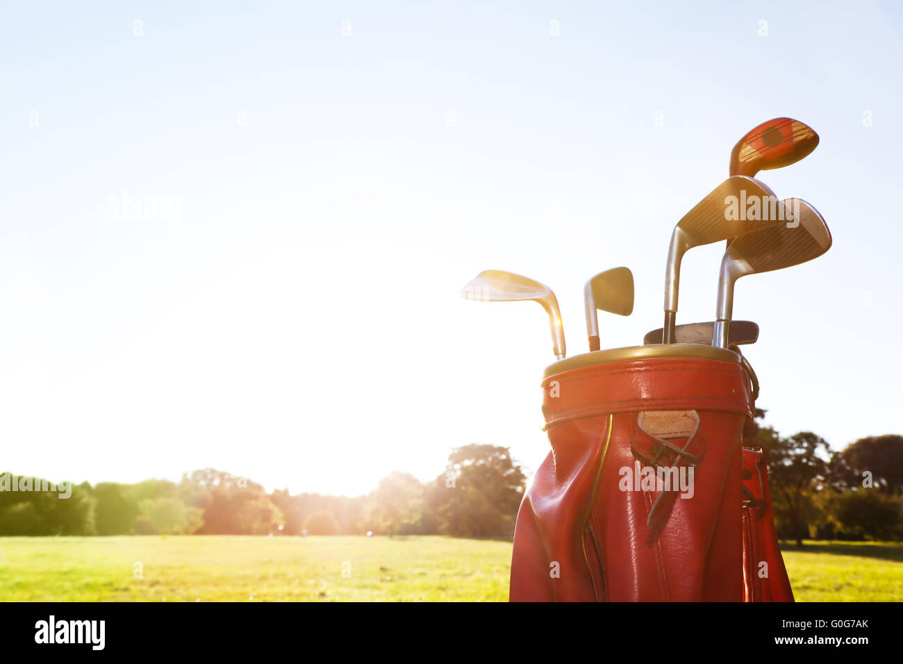 Attrezzatura da golf. Squadre di professionisti in un bagaglio di pelle sul campo da golf di giornata di sole. Foto Stock