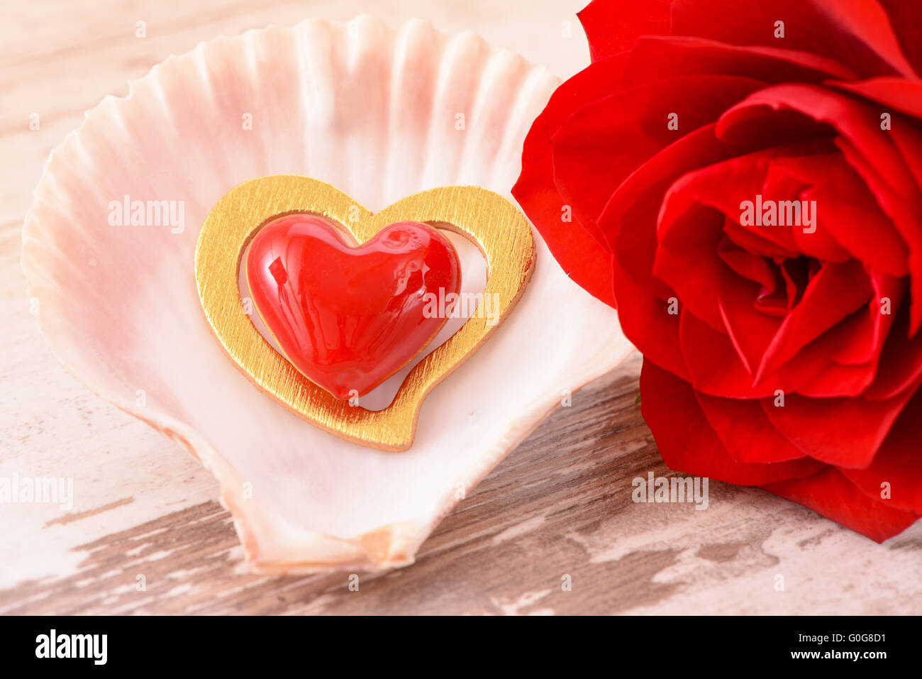 Il giorno di San Valentino con una rosa rossa e di cuore in amore Foto Stock