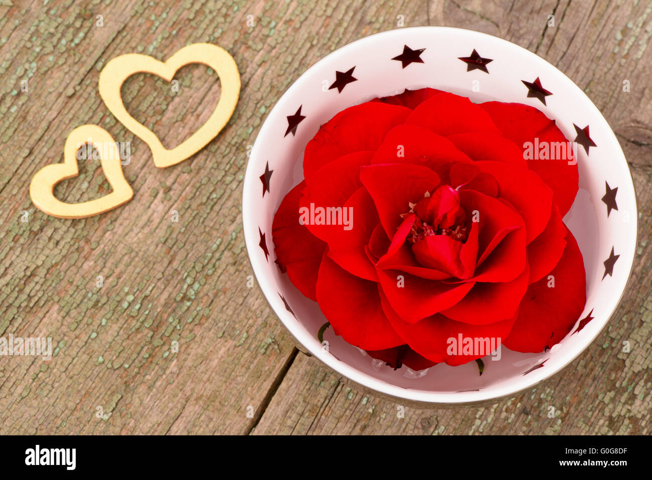 Il giorno di San Valentino con una rosa rossa e di cuore in amore Foto Stock