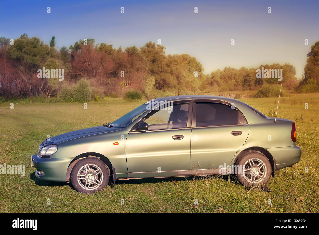 La vettura sul prato verde. Foto Stock