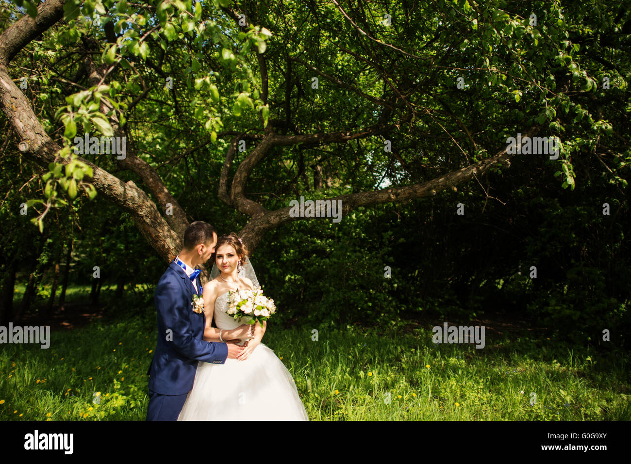 Giovane e bella carino sposi passeggiate al parco Foto Stock