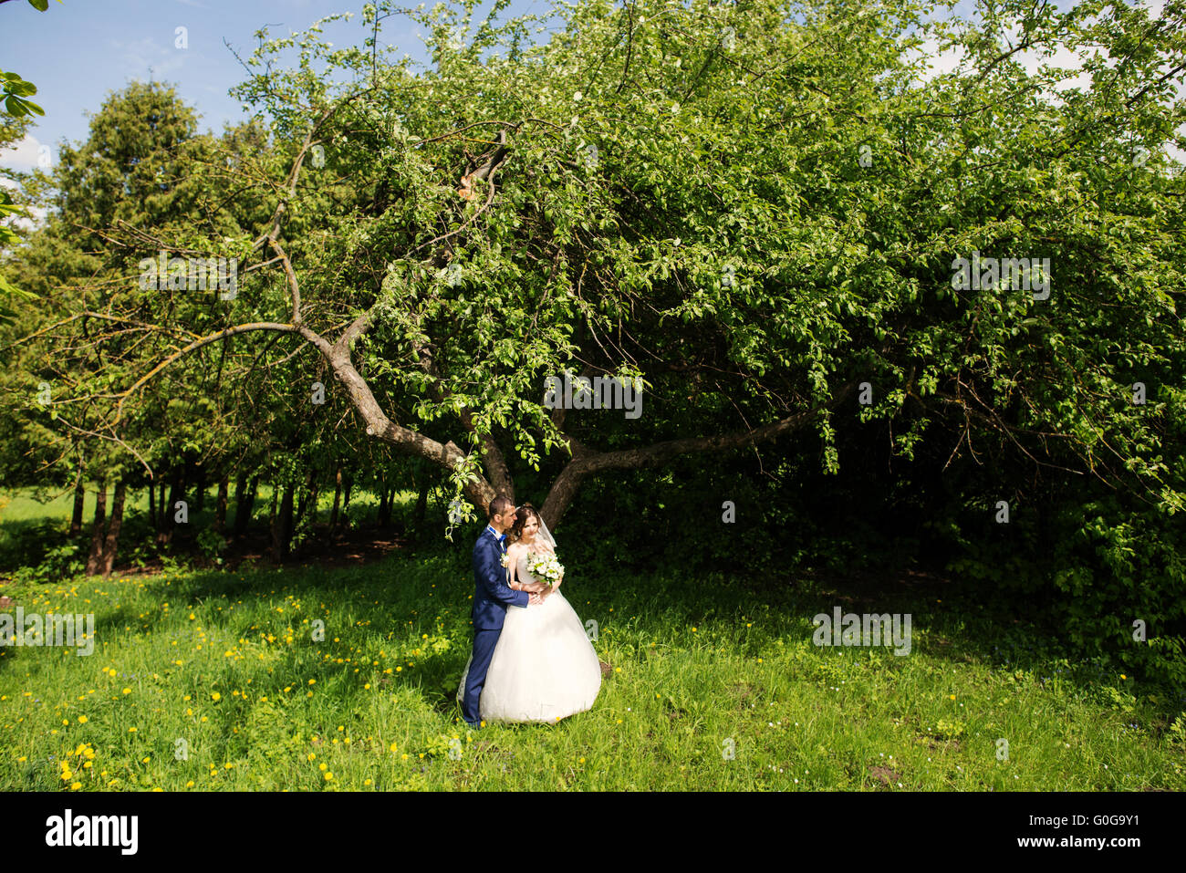 Giovane e bella carino sposi passeggiate al parco Foto Stock