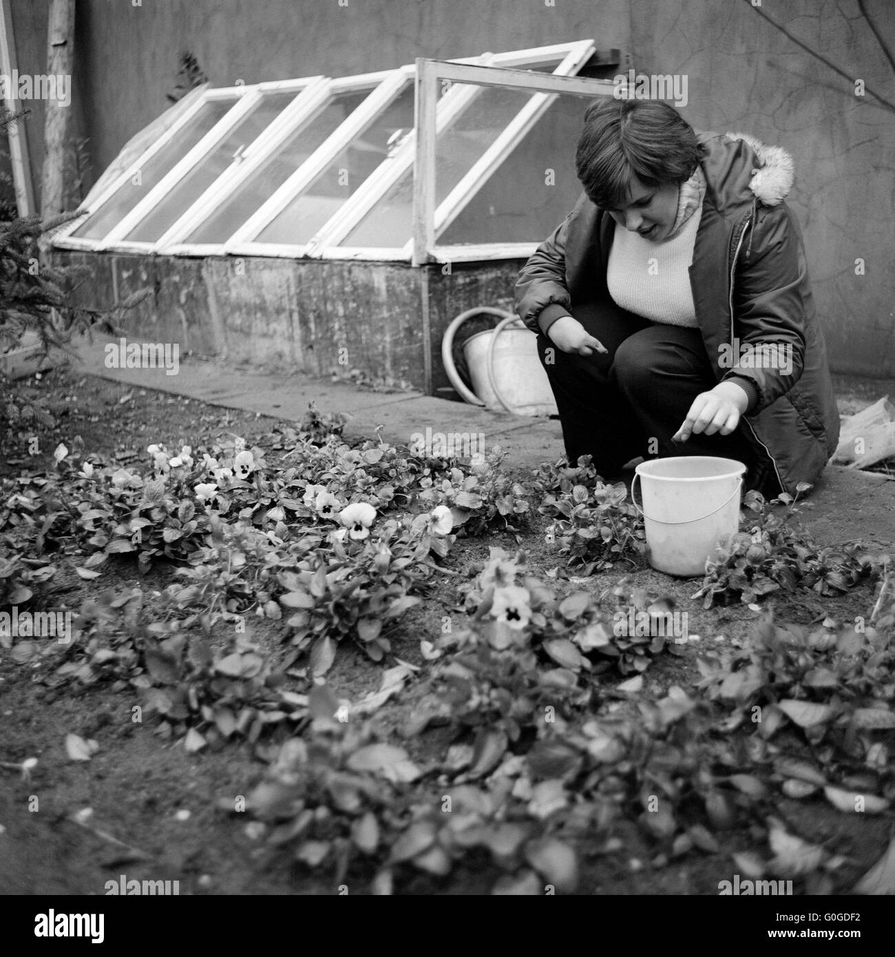 Negli anni settanta, foto in bianco e nero, persone di handicap fisici, scuola, lezioni scolastiche, giardinaggio, schoolgirl 13 a 15 anni di lavoro in un'aiuola, Scuola Speciale Alsbachtal, D-Oberhausen, D-Oberhausen-Sterkrade, la zona della Ruhr, Basso Reno, Renania, Renania settentrionale-Vestfalia, NRW Foto Stock