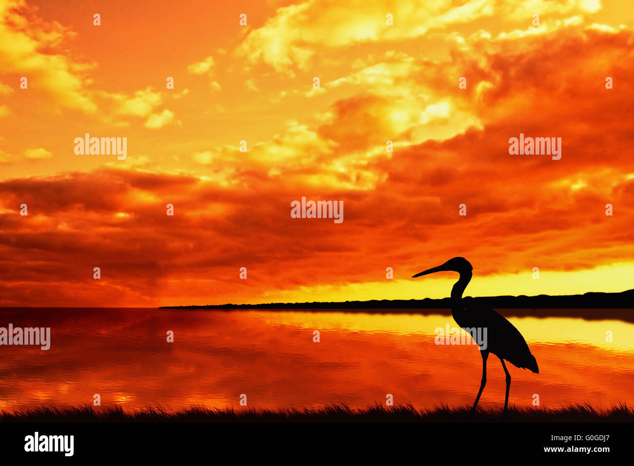 Arancio brillante tramonto sul lago con heron sulla riva Foto Stock