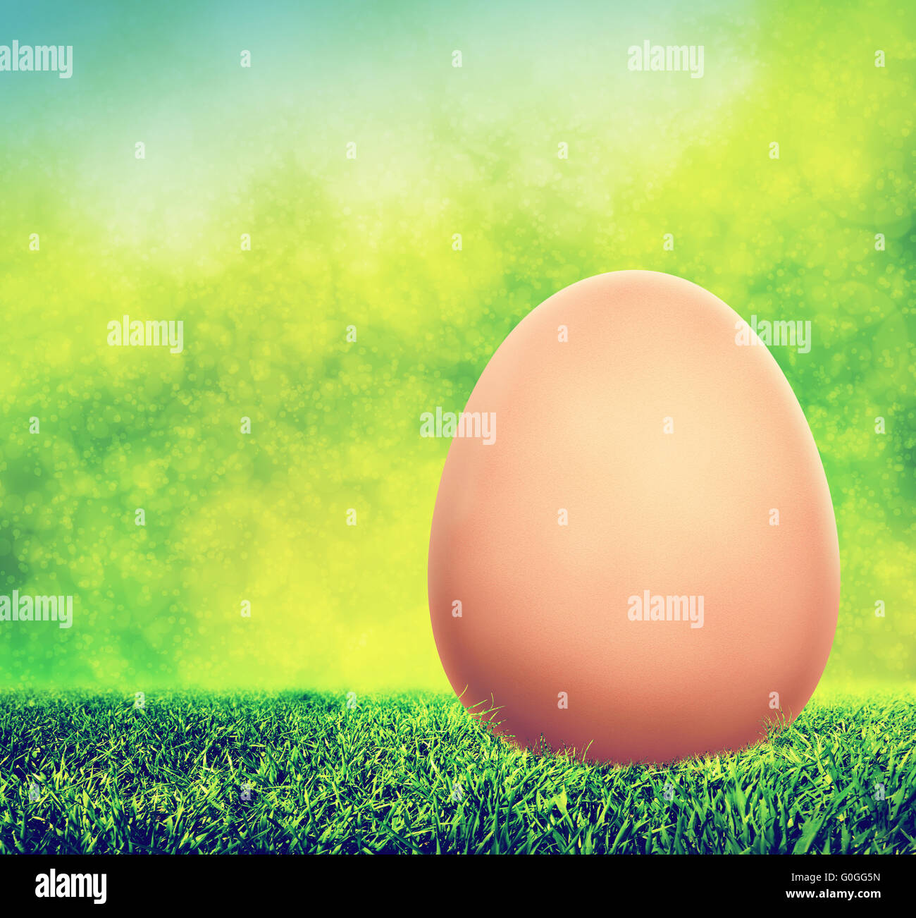 Non verniciata uovo di Pasqua sulla molla di erba. La natura la sfocatura dello sfondo. Tema vacanze. Foto Stock