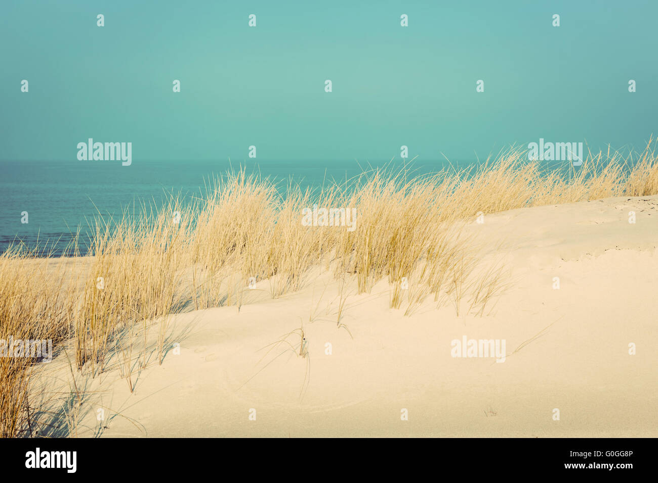 Calma spiaggia soleggiata con le dune e l'erba. Mar baltico in background. Vintage Foto Stock