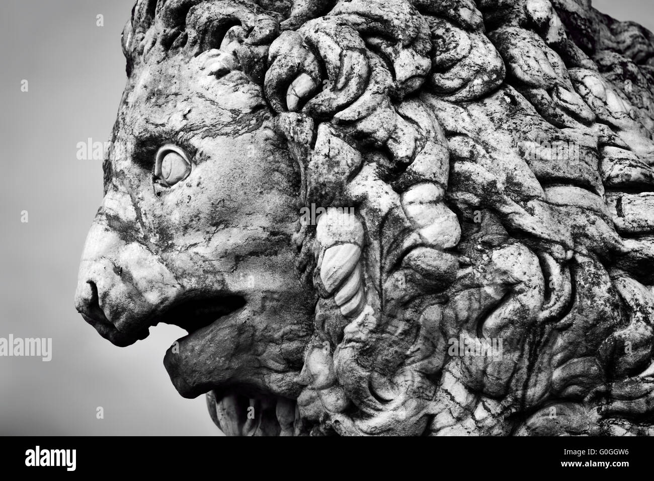 La scultura antica dei Medici Lion. Firenze, Italia Foto Stock
