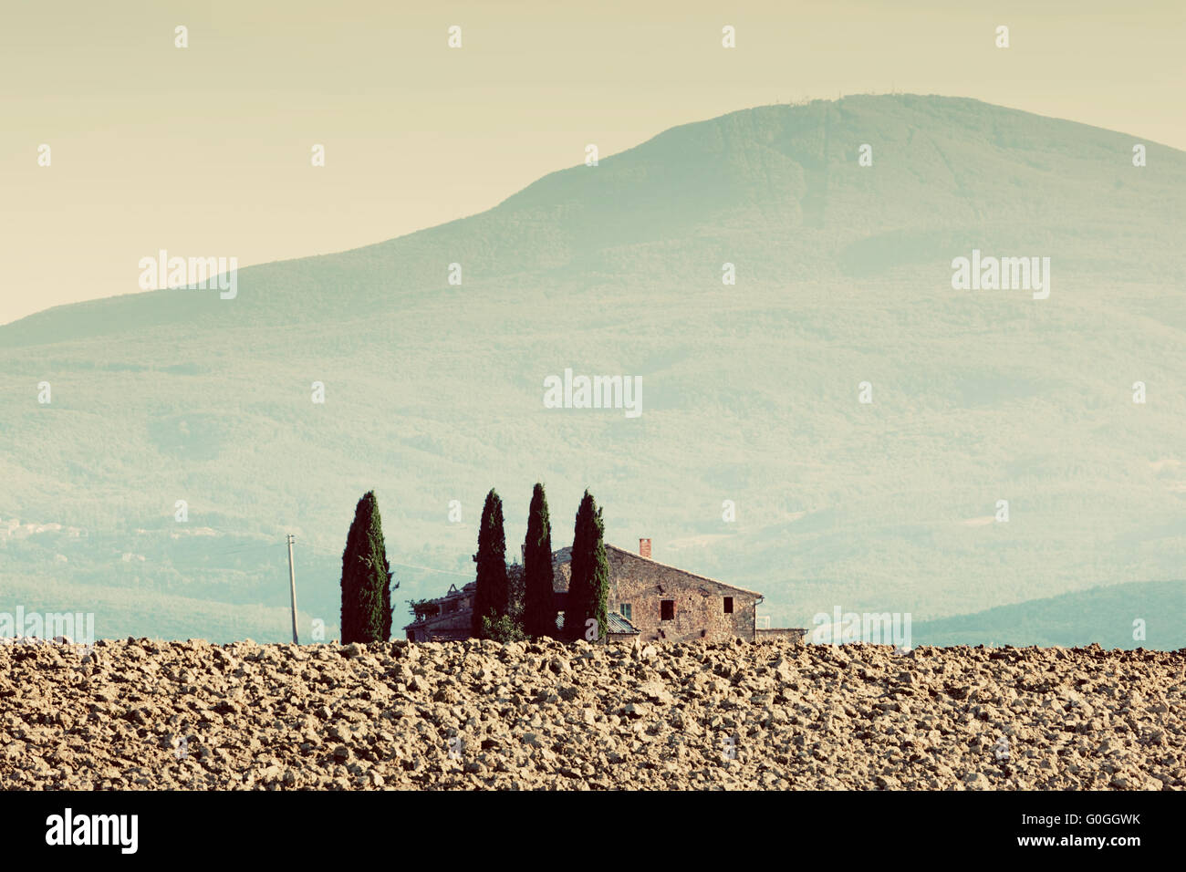Paesaggio toscano. Campo, agriturismo tra i cipressi. L'Italia, vintage Foto Stock
