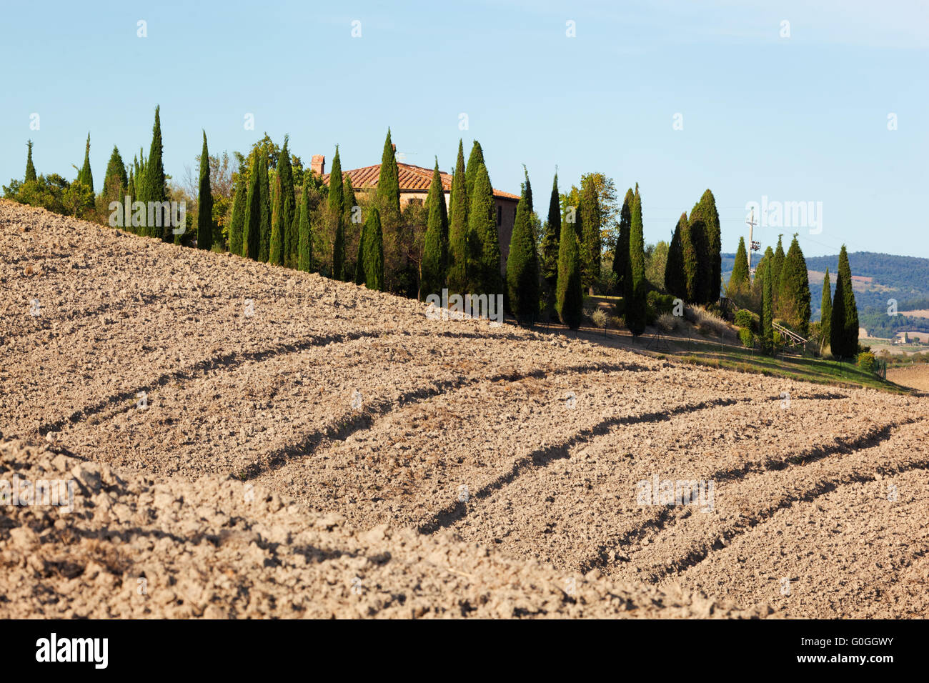 Paesaggio toscano. Campo, agriturismo tra i cipressi. Italia Foto Stock