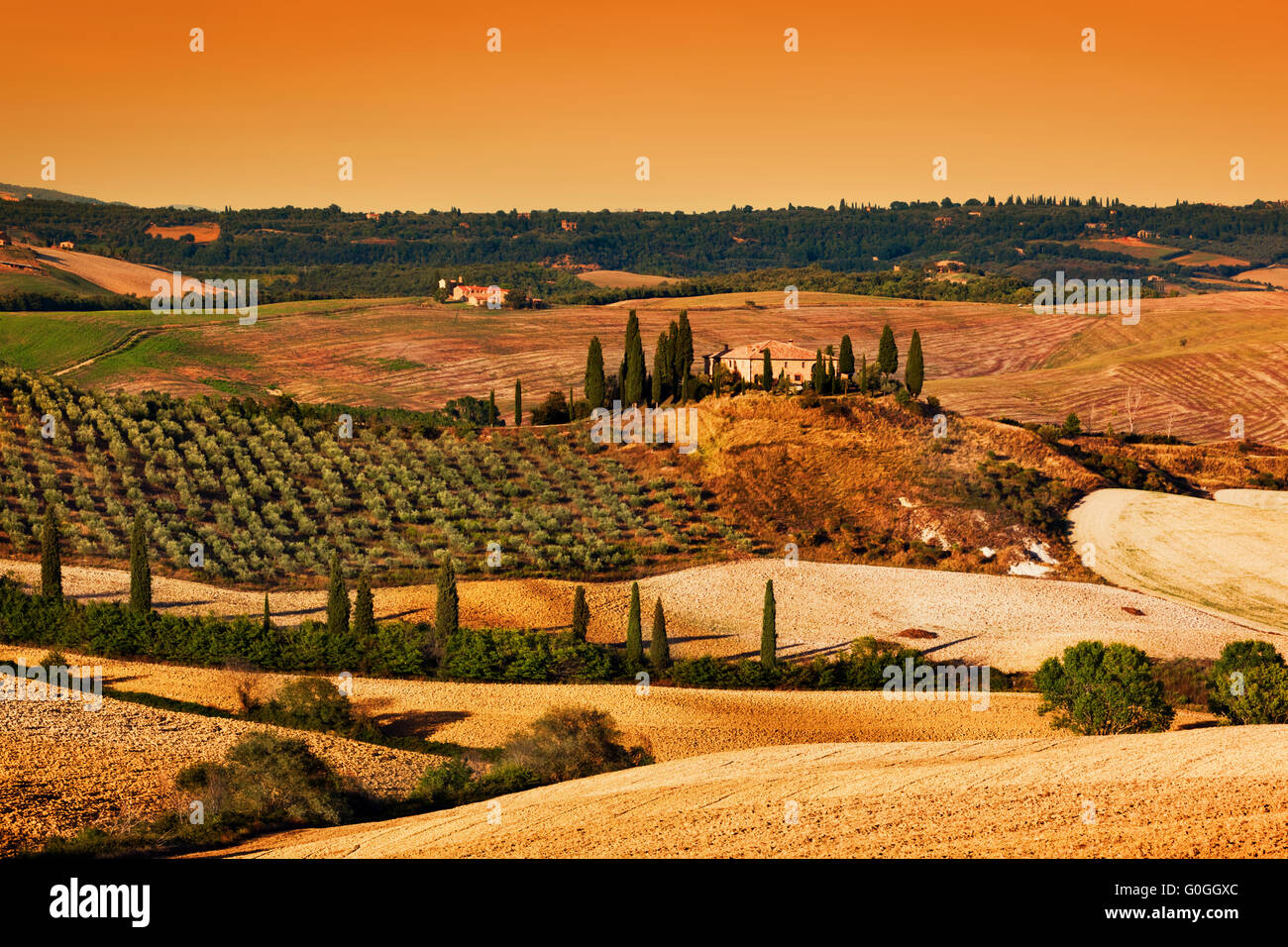 Paesaggio toscano al tramonto. Agriturismo in Toscana casa, vigneto, sulle colline. Foto Stock