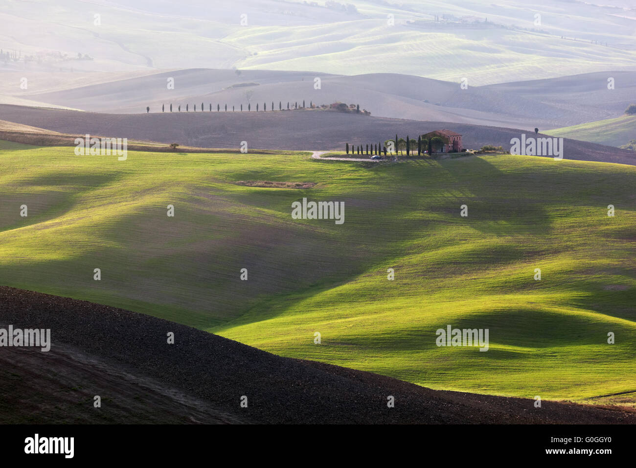 Paesaggio toscano a sunrise. Agriturismo in Toscana casa, vigneto, verdi colline. Foto Stock