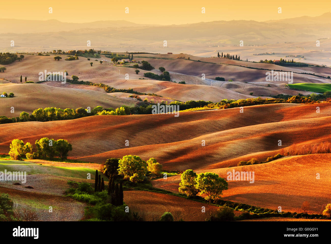 Campagna Toscana paesaggio all'alba, Italia Foto Stock