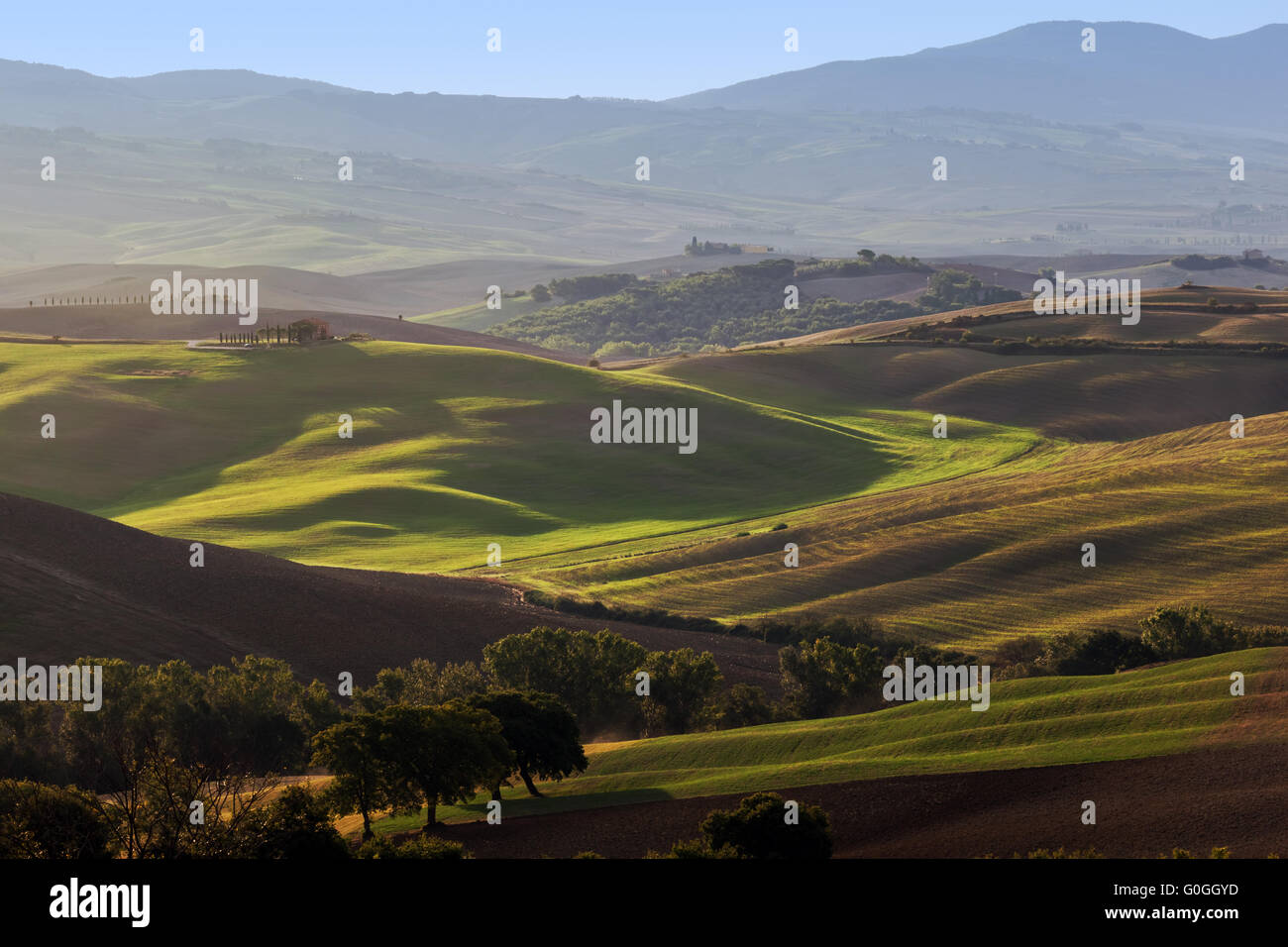 Paesaggio toscano a sunrise. Agriturismo in Toscana casa, vigneto, verdi colline. Foto Stock