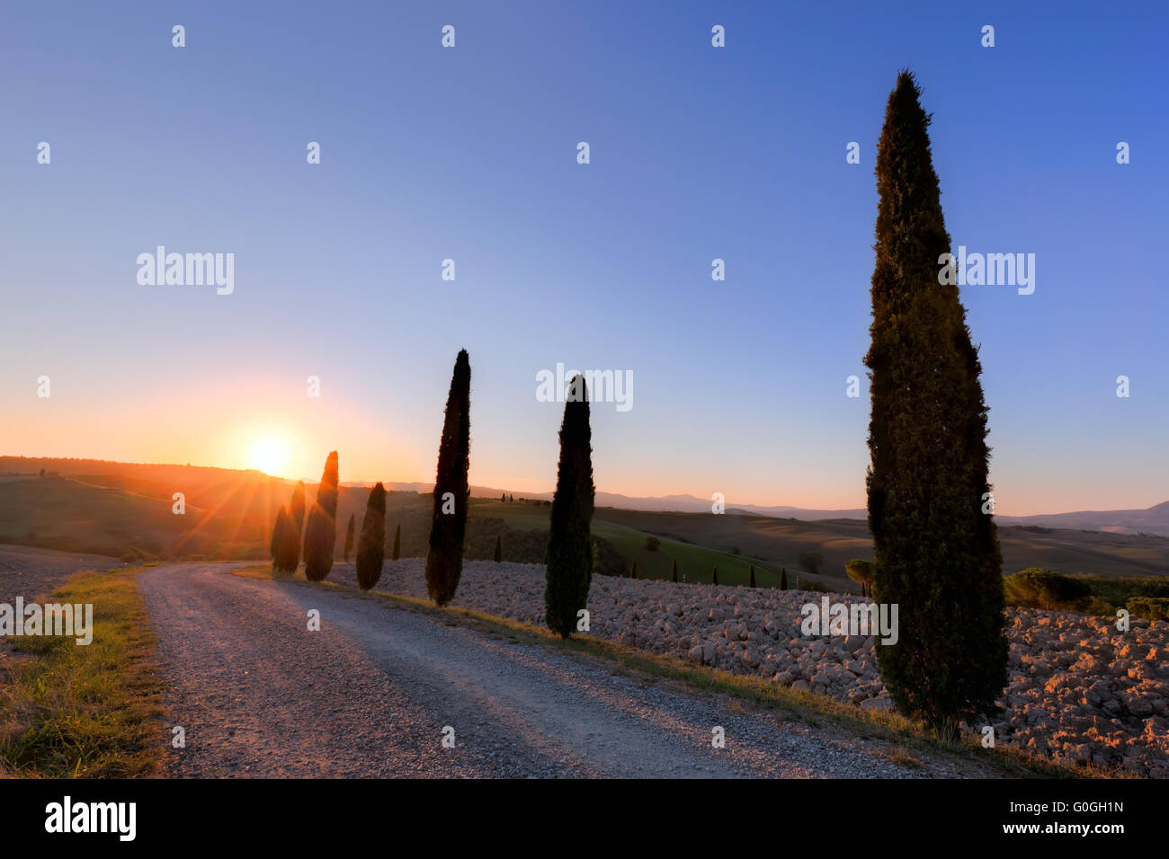 Cipressi strada in Toscana, Italia a sunrise. Val d#39;Orcia Foto Stock