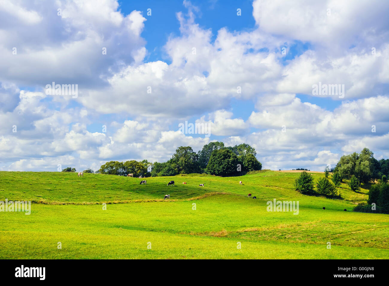 Terra di pascolo Foto Stock