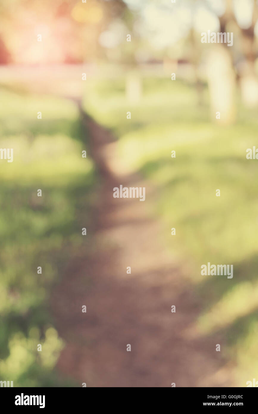 Natura sfocata sfondo con Instagram filtro stile Foto Stock