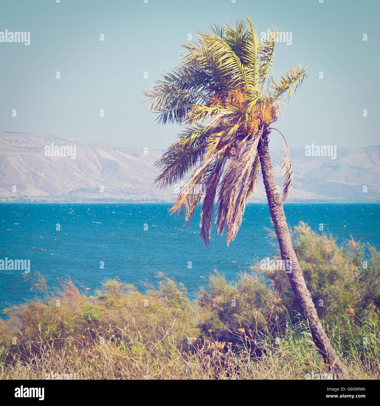 Mare di Galilea Foto Stock