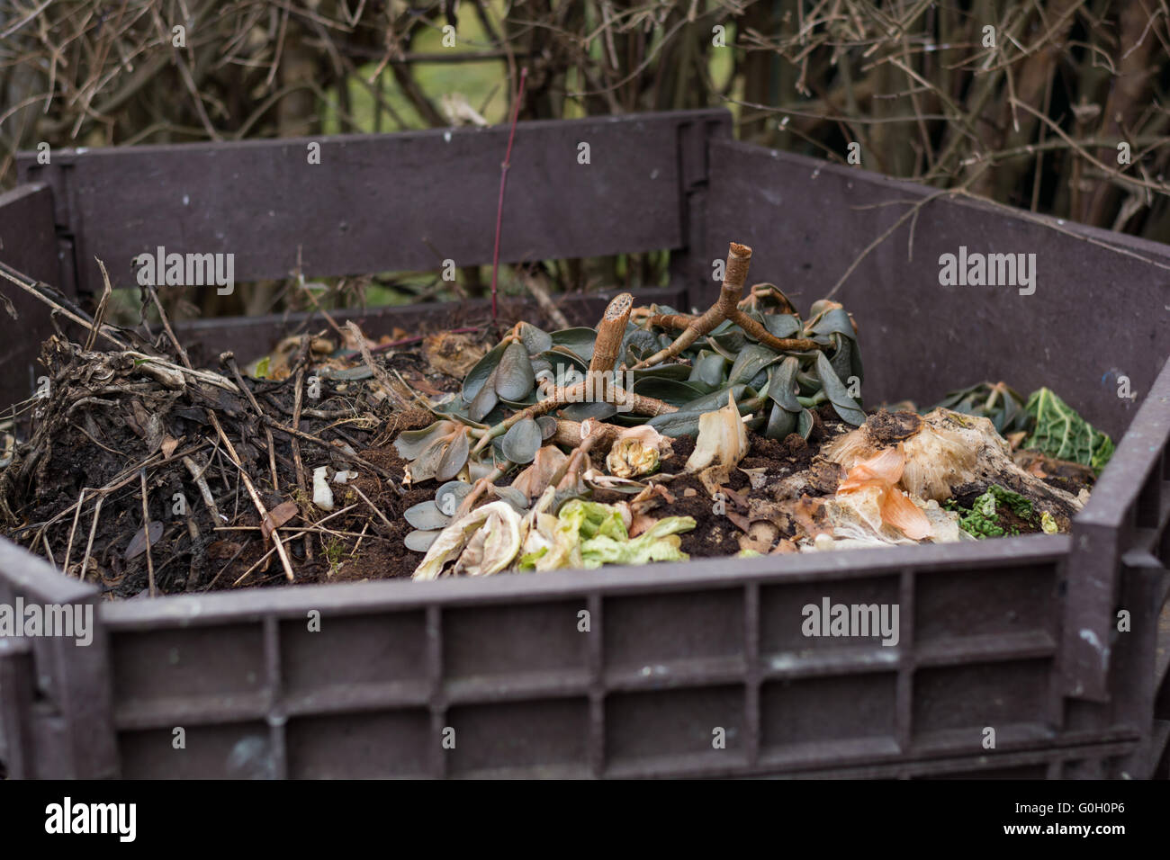 Vegetali e scarti da giardino in open compostiera Foto Stock