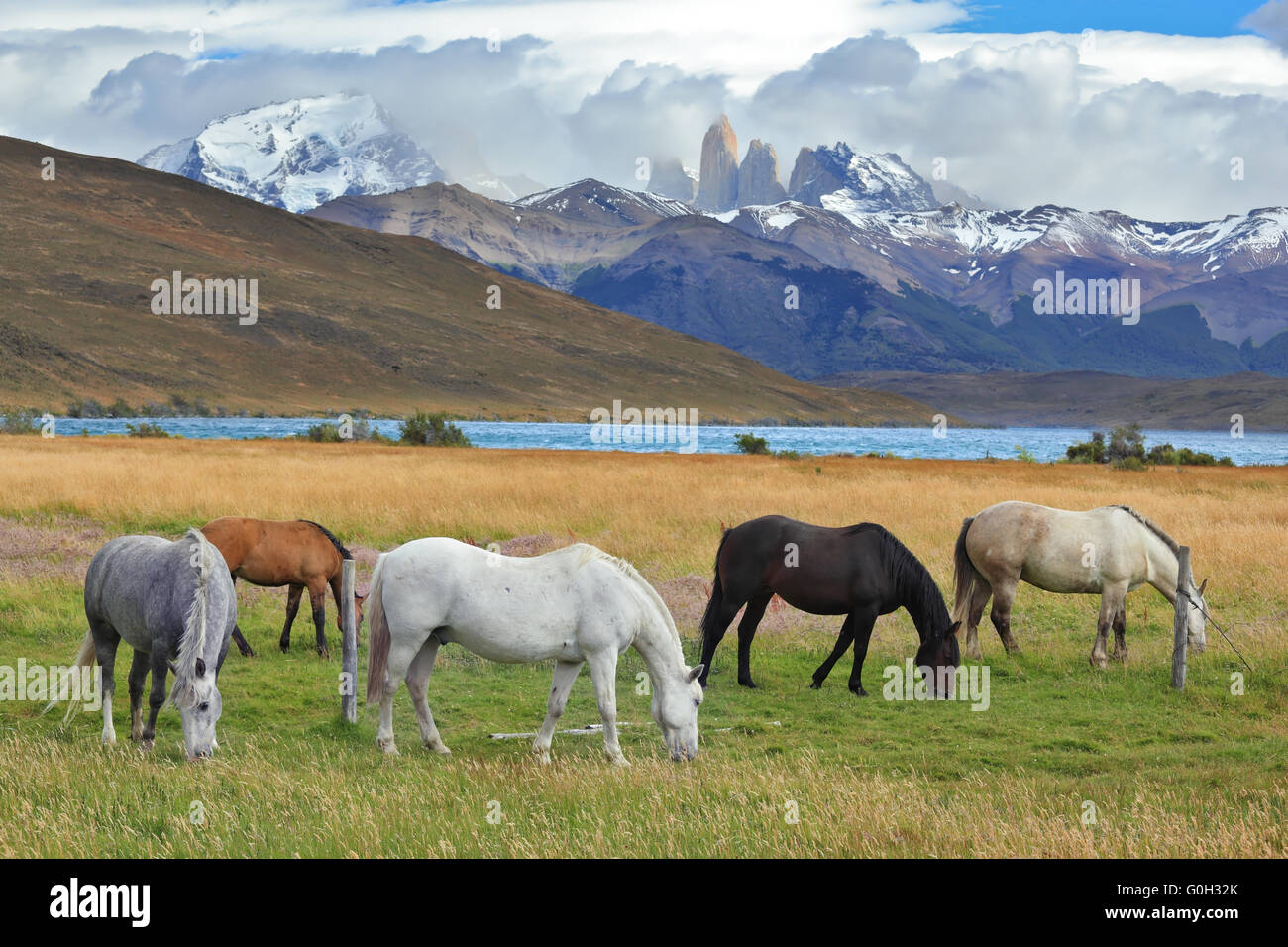 Lago cileno Laguna Azul Foto Stock