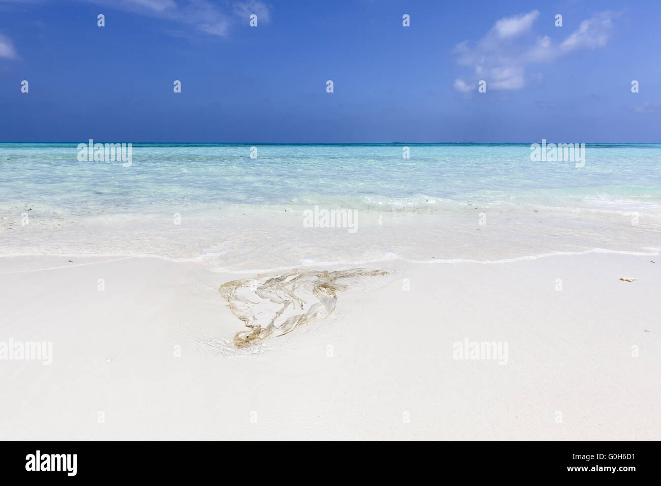 Plastica sulla spiaggia Foto Stock