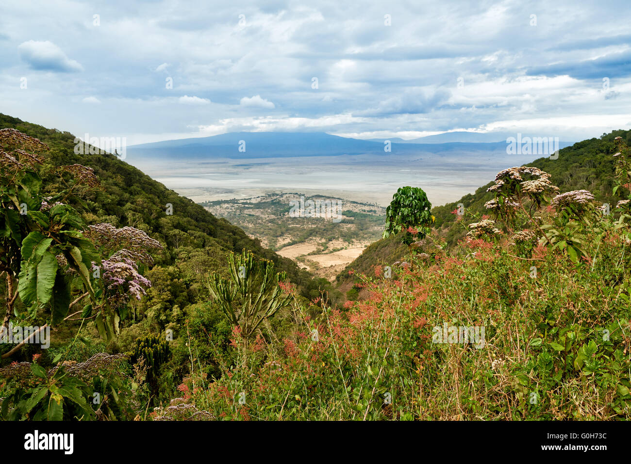 Vista dal cerchio all'interno del cratere di Ngorongoro, Ngorongoro Conservation Area, sito patrimonio mondiale dell'UNESCO, Tanzania Africa Foto Stock
