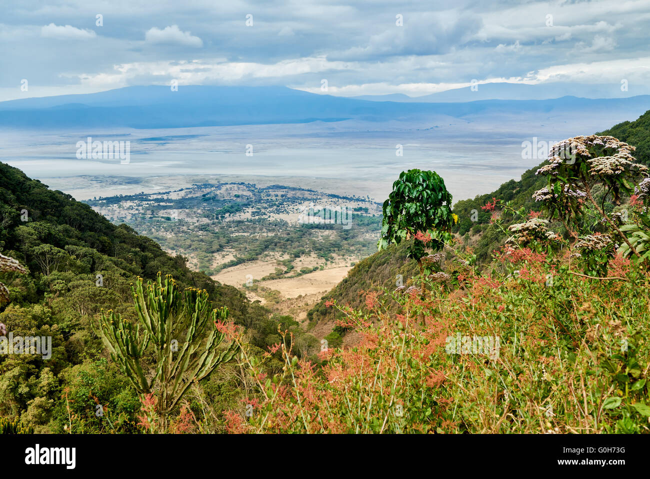 Vista dal cerchio all'interno del cratere di Ngorongoro, Ngorongoro Conservation Area, sito patrimonio mondiale dell'UNESCO, Tanzania Africa Foto Stock