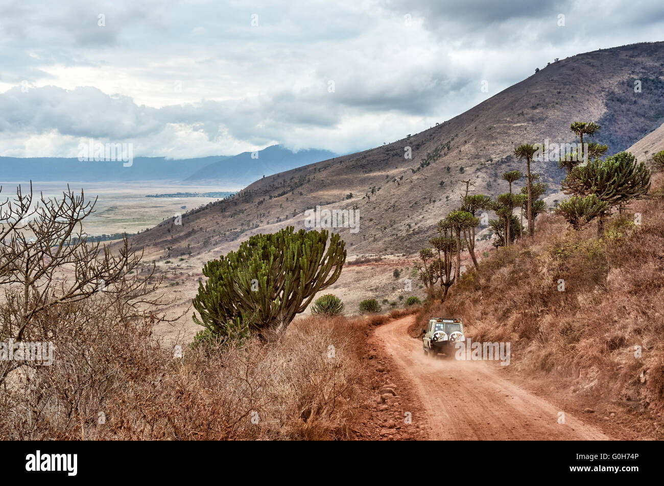 Auto sulla strada dal cerchio all'interno del cratere di Ngorongoro, Ngorongoro Conservation Area, sito patrimonio mondiale dell'UNESCO, Tanzania Africa Foto Stock