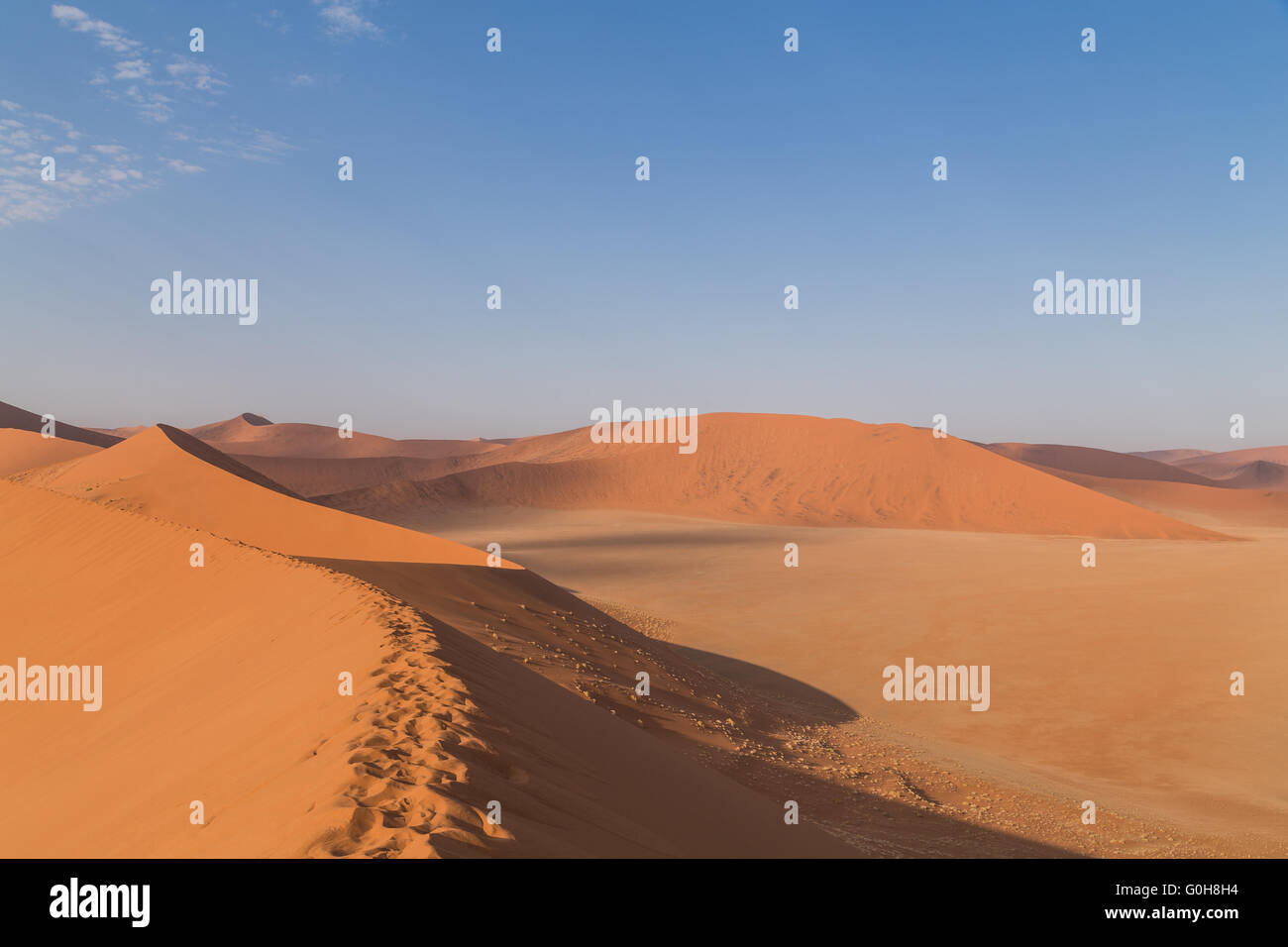 Dune di sabbia 45 in Sossusvlei, Namibia. Il paesaggio del deserto. Una passeggiata nelle dune di sabbia. Foto Stock