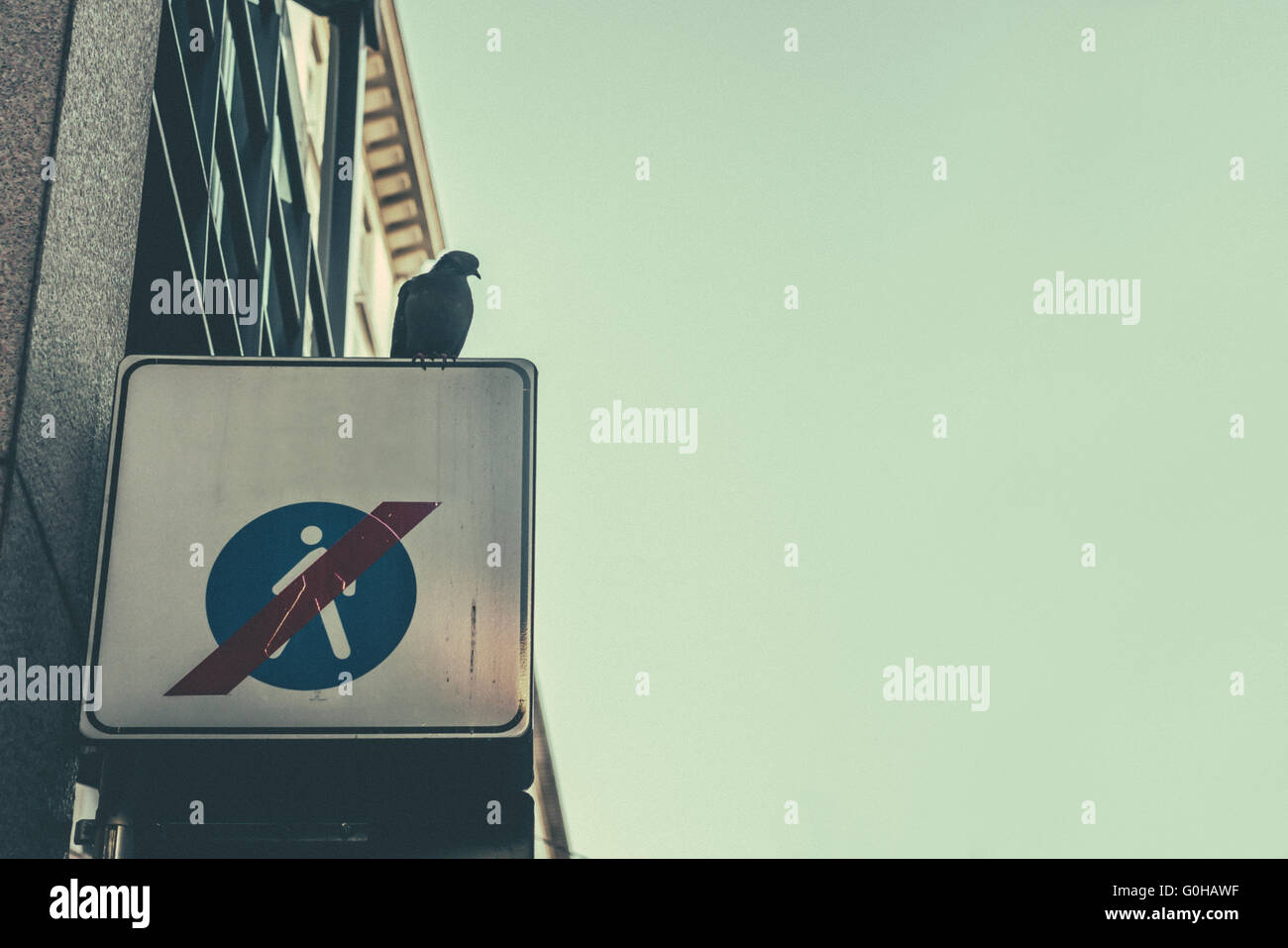 'N' a piedi segno con bird e copia dello spazio in tono vintage, "nessun uomo' concetto Foto Stock