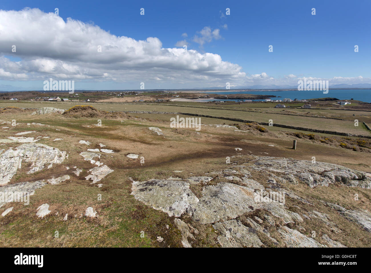 Vista pittoresca della costa di Anglesey sulla costa ovest di Isola Santa con Borth Wen a Rhoscolyn in background. Foto Stock