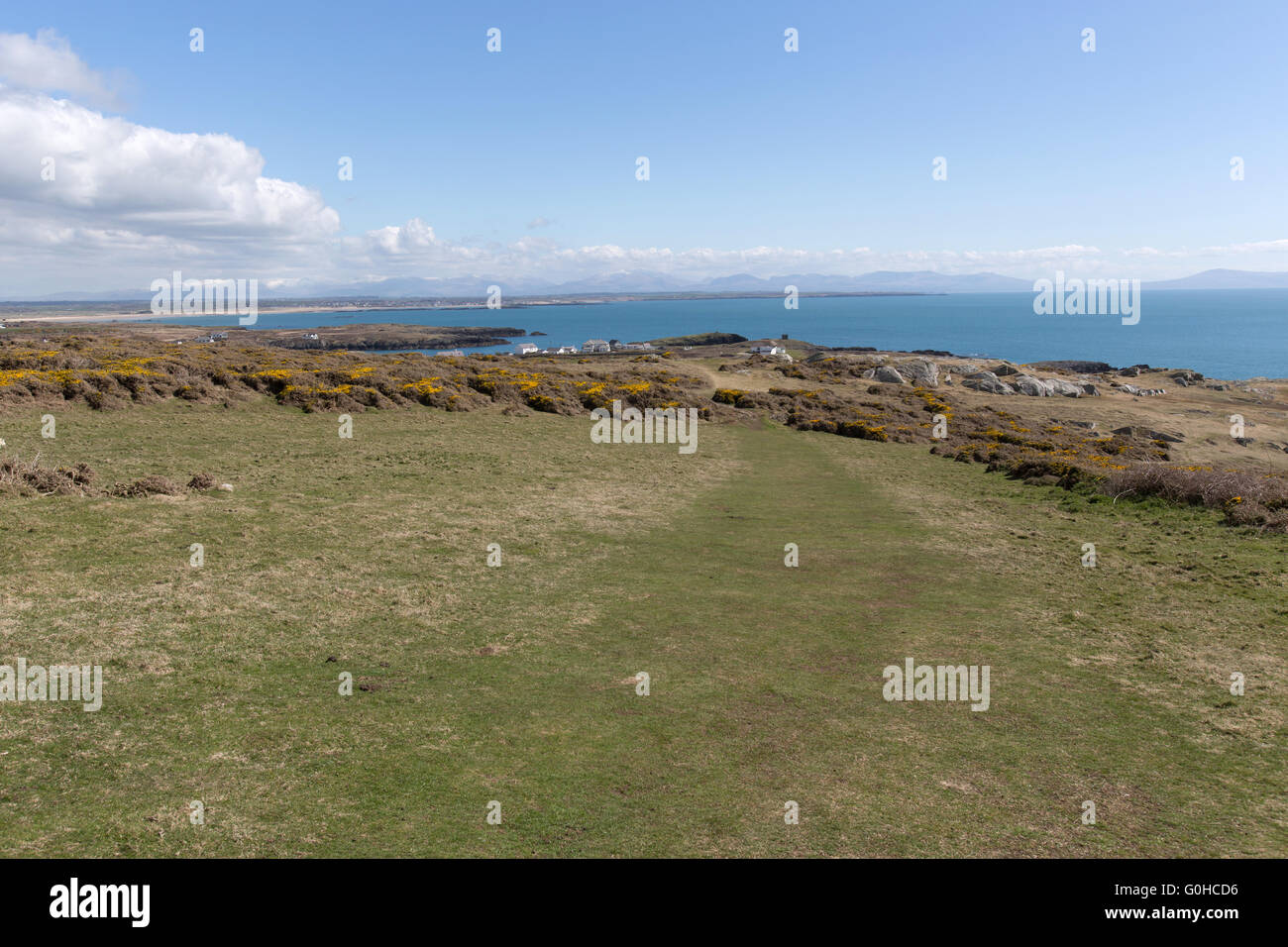Vista pittoresca della costa di Anglesey sulla costa ovest di Isola Santa con Borth Wen a Rhoscolyn in background. Foto Stock