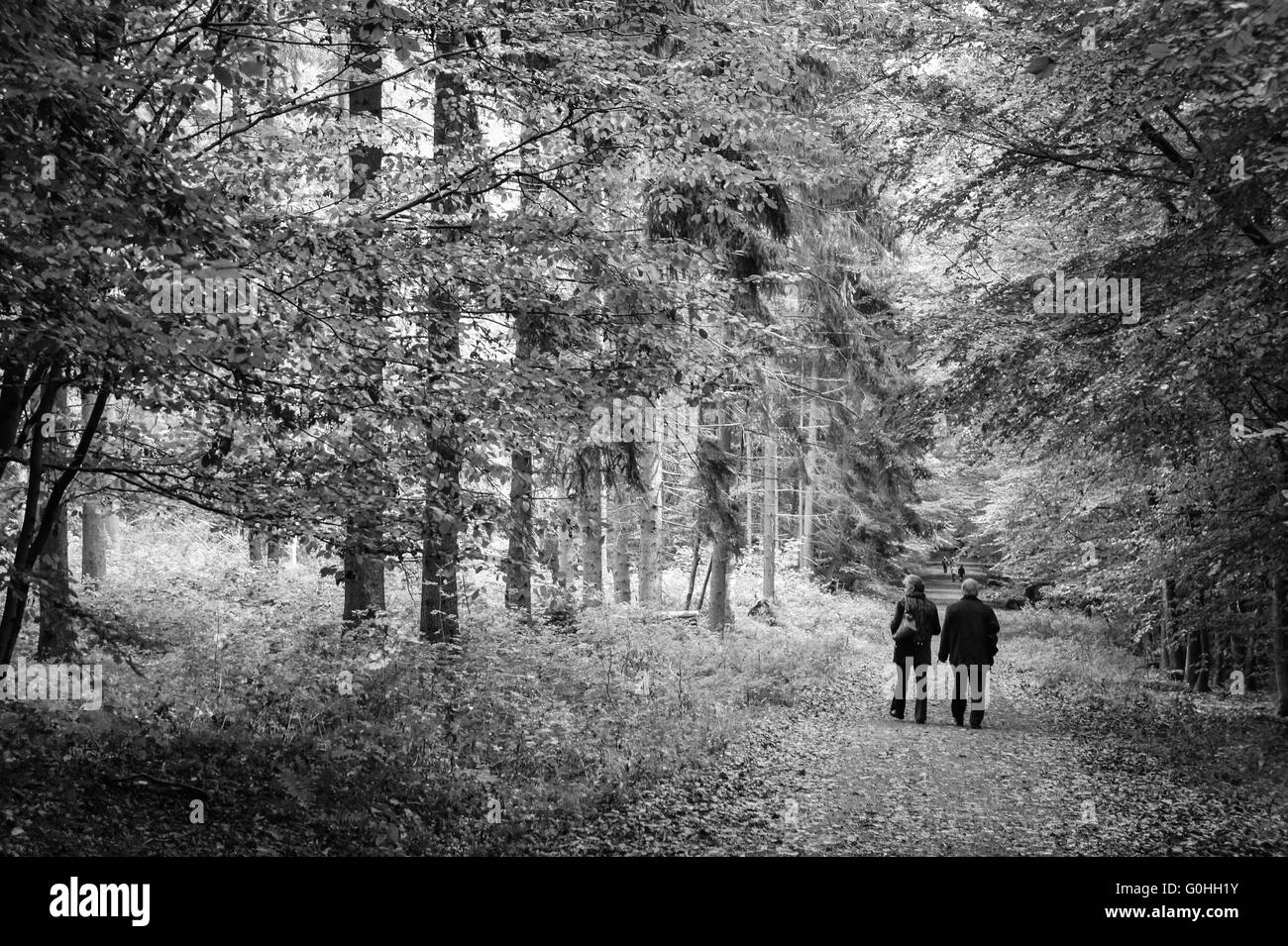 Una coppia di anziani camminare nel parco Foto Stock