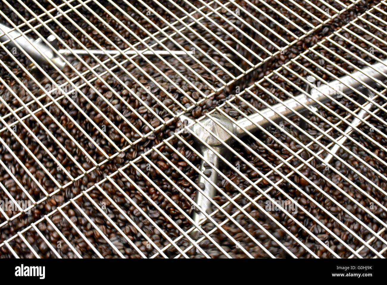 Freschi i chicchi di caffè in una macchina Foto Stock