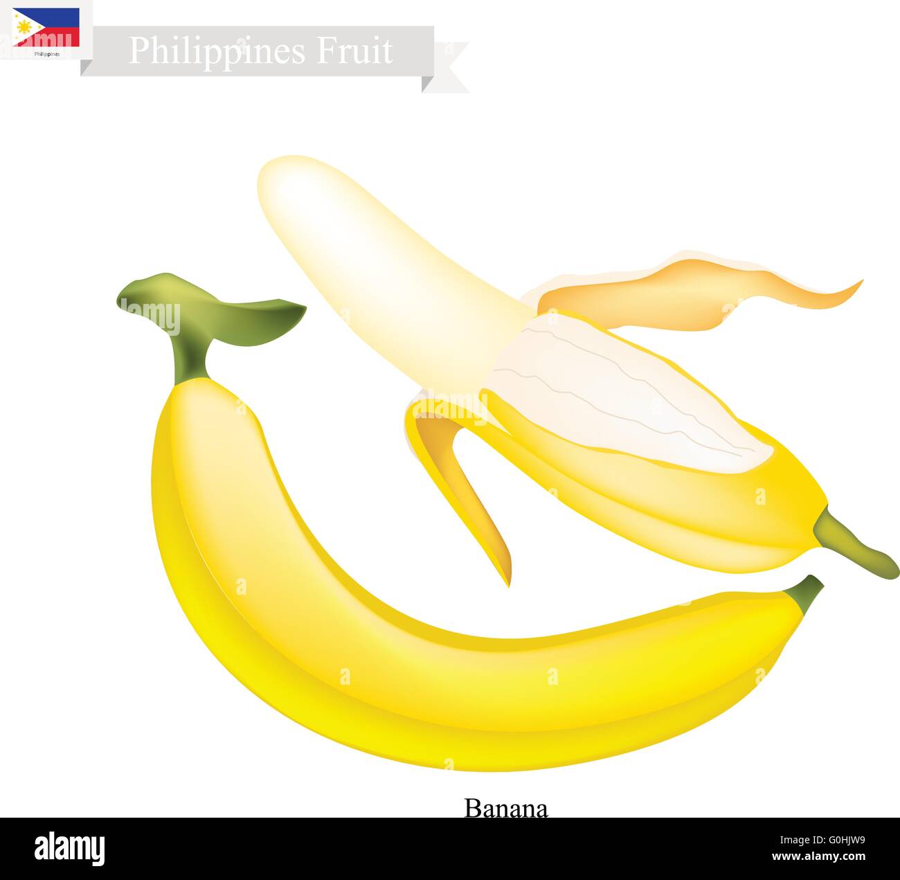 Philippine frutta, illustrazione di Banana. Uno dei più popolari frutti nelle Filippine. Illustrazione Vettoriale