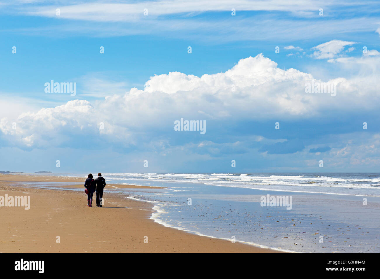 Giovane a piedi lungo la spiaggia di Holkham, Norfolk, Inghilterra, Regno Unito Foto Stock