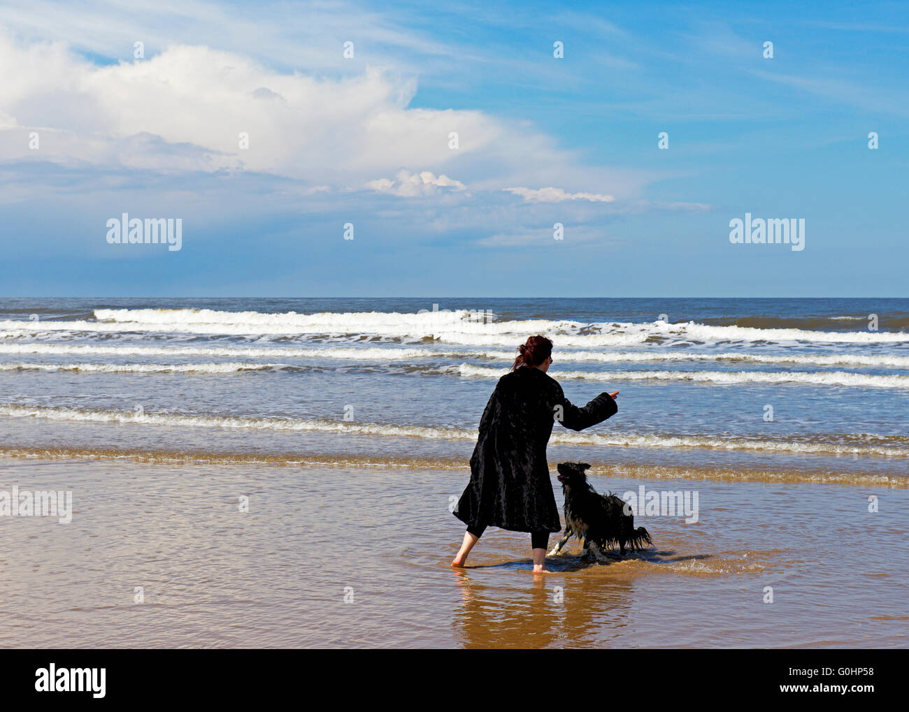 Donna gettando un bastone per il suo cane, sulla spiaggia di Holkham, Norfolk, Inghilterra, Regno Unito Foto Stock