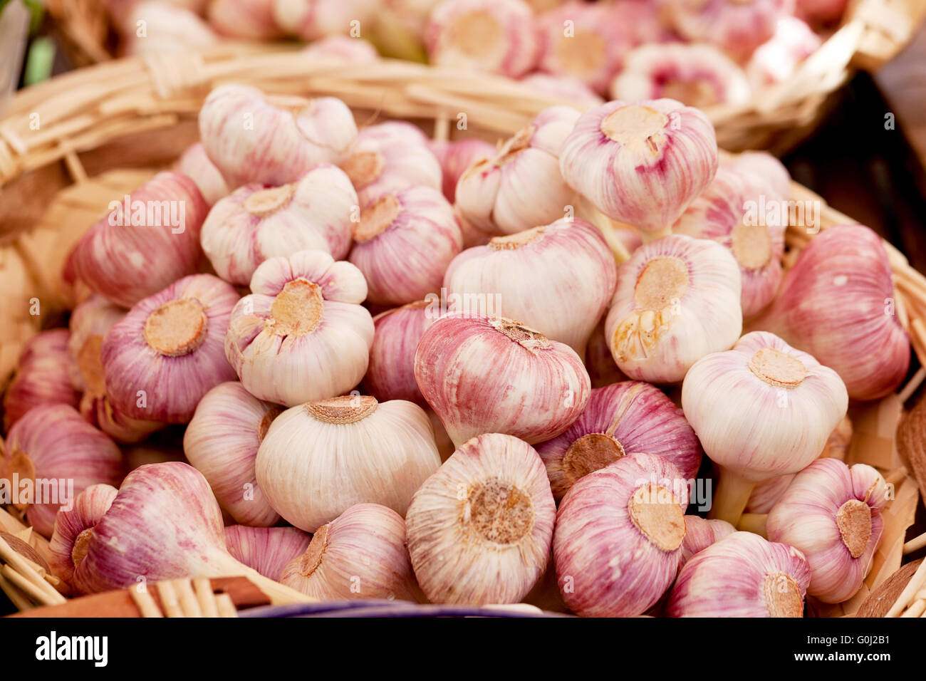 Gruppo di viola aglio bianco nel cestello macro Foto Stock