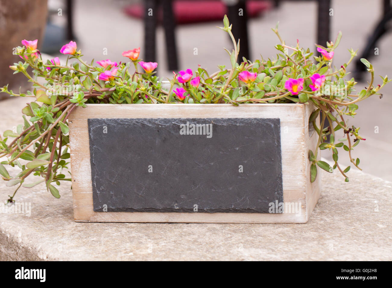 Piccolo copyspace lavagna in fiore decorativo pot outdoor Foto Stock
