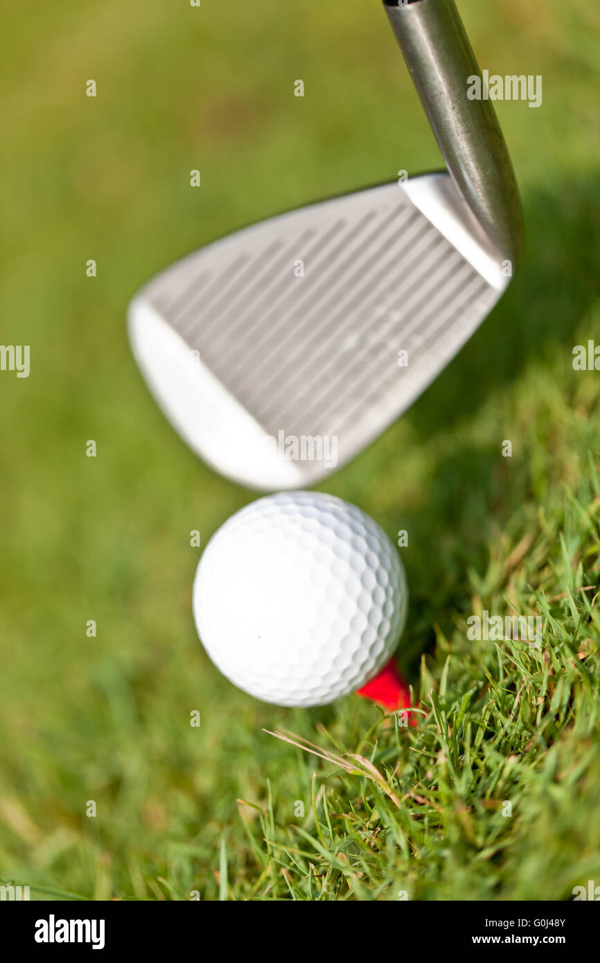 La pallina da golf e ferro in erba verde dettaglio macro esterna di estate Foto Stock