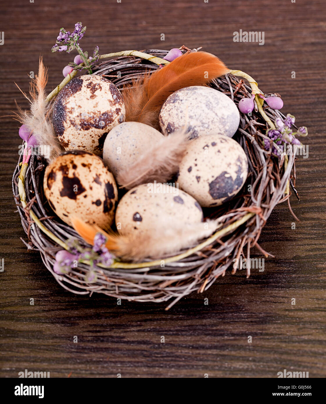 Decorazione di pasqua con uova di quaglia su legno Foto Stock