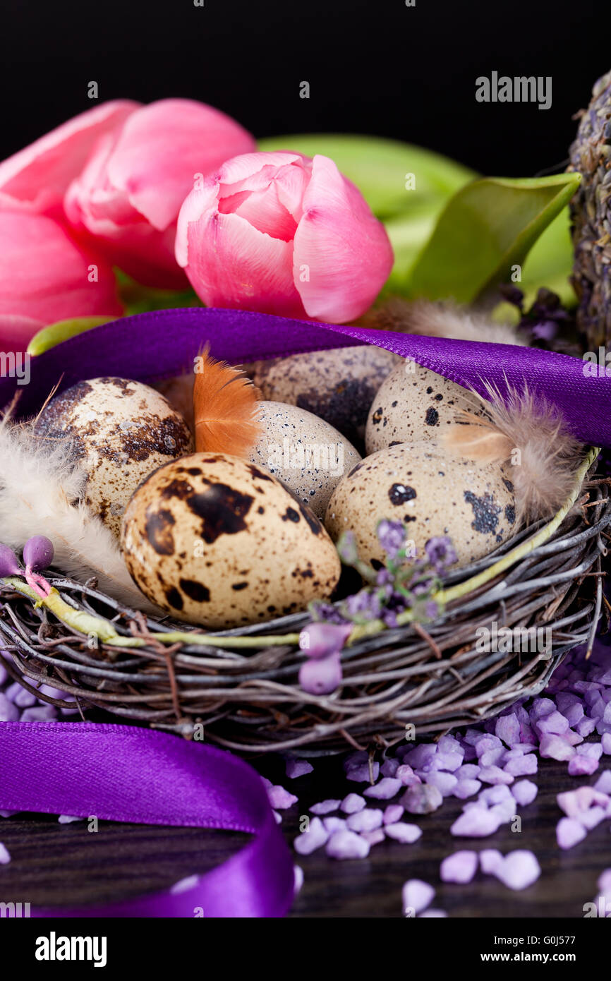 Tulipani rosa e uova di colore marrone con nastro viola decorazione di pasqua Foto Stock