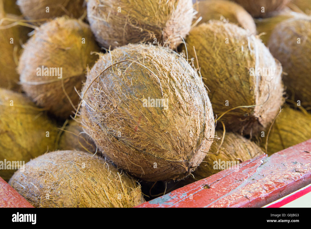 Noci di cocco in tropicale mercati di prodotti Foto Stock